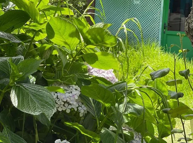 La Alpispa בית נופש