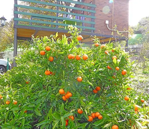 בית נופש La Alpispa Valleseco