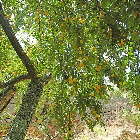 La Alpispa