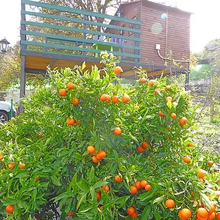 Casa de Férias La Alpispa Valleseco